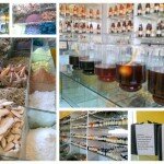 KINGDOM OF HONEY