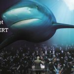 BLUE PLANET LIVE IN CONCERT IN THE CAPITAL