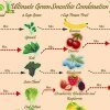 Green Smoothie Combinations