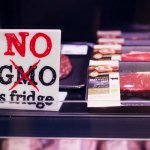 CHANGE YOUR LIFESTYLE NOW: THE NEW PLACE TO BREATHE, EAT, DRINK AND LIVE ORGANIC IN ABU DHABI