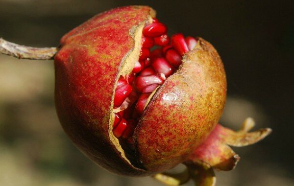 Benefits of Pomegranate juice