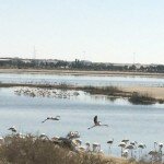 THIS ECO-RESERVE IS A MUST ACTIVITY TO PLAN WITH YOUR KIDS